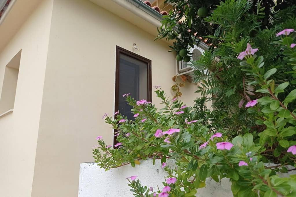 Afroditis'S & Makis'S Apartment Leonidio Exterior photo